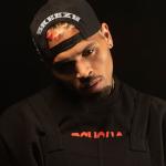 artist image Chris Brown, Tyga Ayo Fan of a Fan the Album (Expanded Edition)