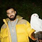 artist image Drake feat. Static Major, Ty Dolla $ign After Dark Scorpion