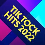 album image Ainsi Bas La Vida Tik Tock Hits 2022