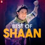 album image Hey Shona Ladki Kyon - Hit Songs By Shaan