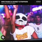 album image Falling Stars (2022) (Original Mix) Falling Stars (2022) - Single