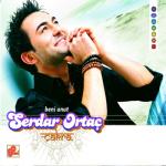 album image deli firtina Çakra (Beni Unut)