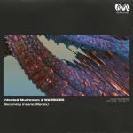 album image Becoming Insane (Remix) (Extended Remix) Becoming Insane (Remix) - Single