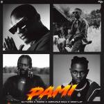 poster PAMI PAMI (feat. Wizkid, Adekunle Gold & Omah Lay)