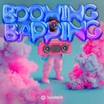 poster Boom Bap Chronicles Booming Bapping